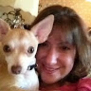 Meet your Posher, Chihuahua